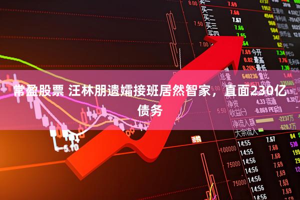 常盈股票 汪林朋遗孀接班居然智家，直面230亿债务